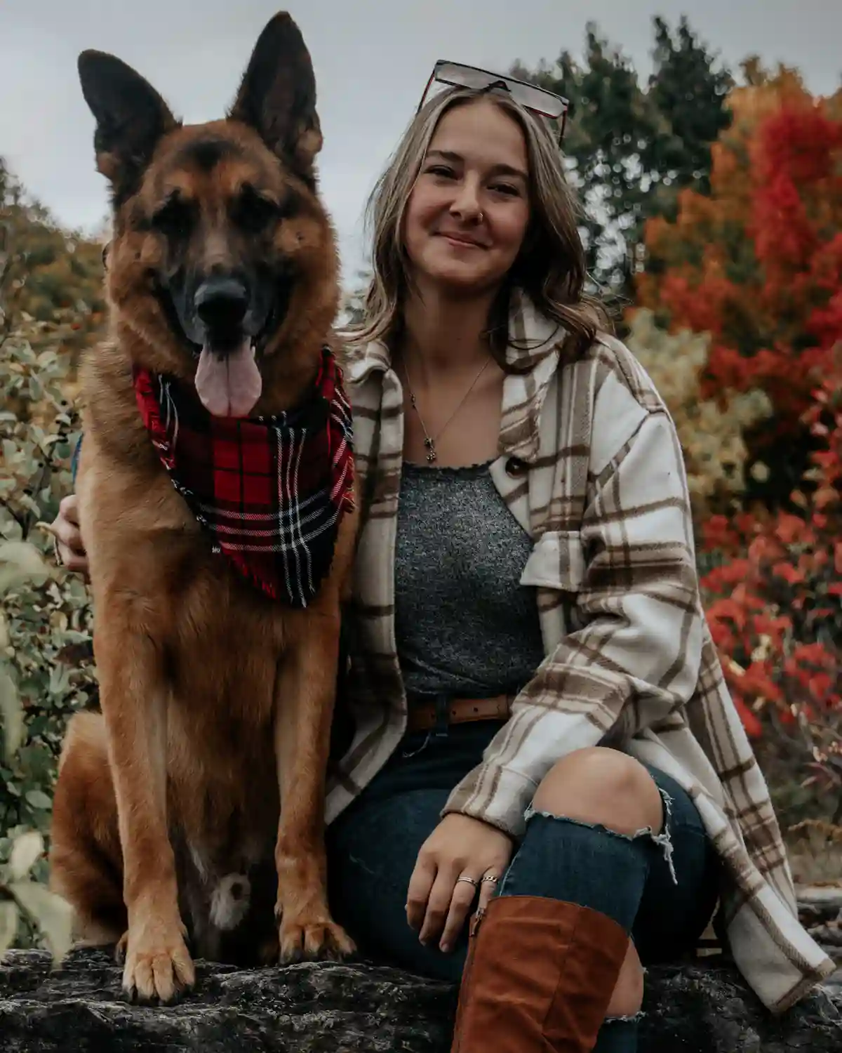 Canine Portfolio