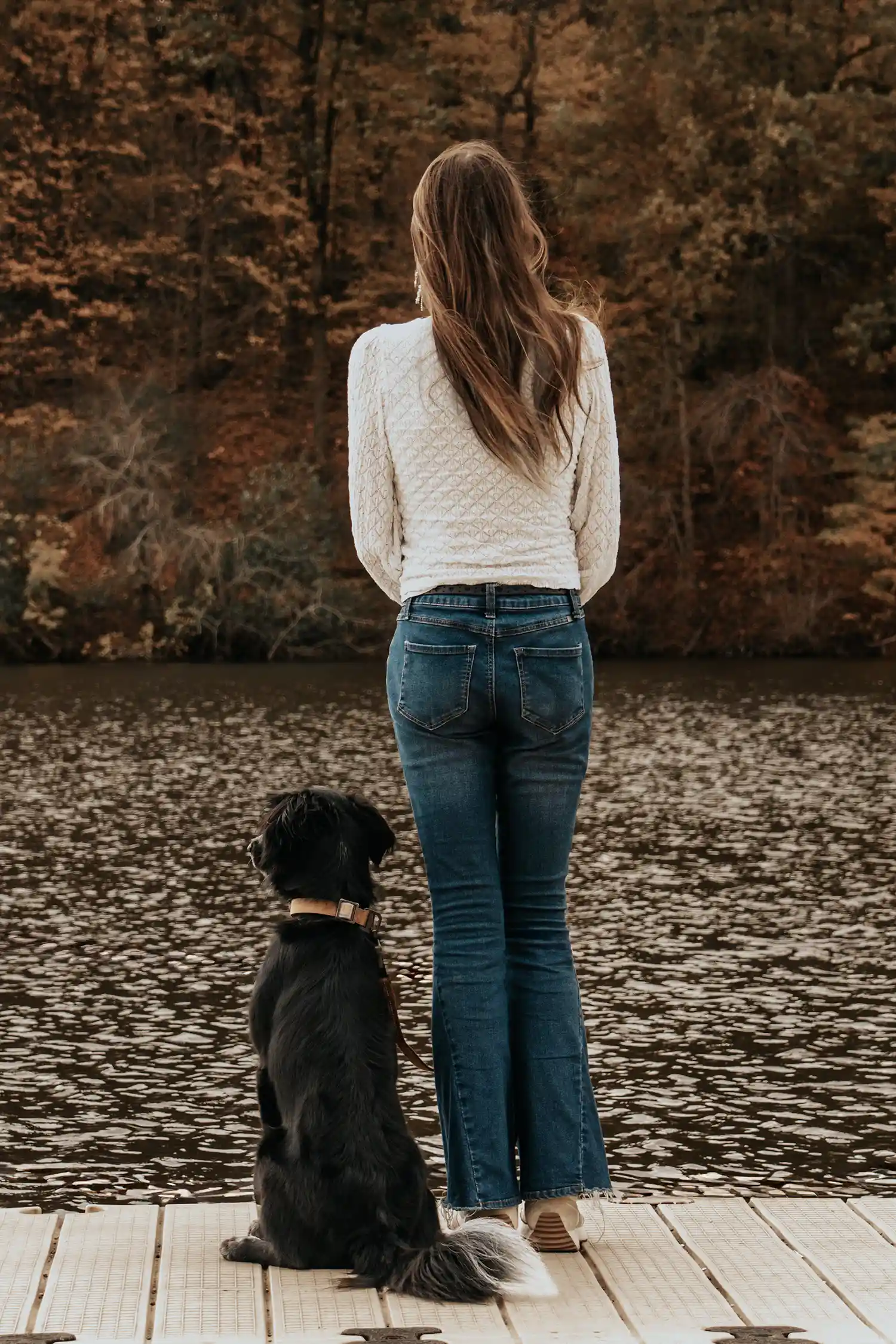 Canine Portrait 1