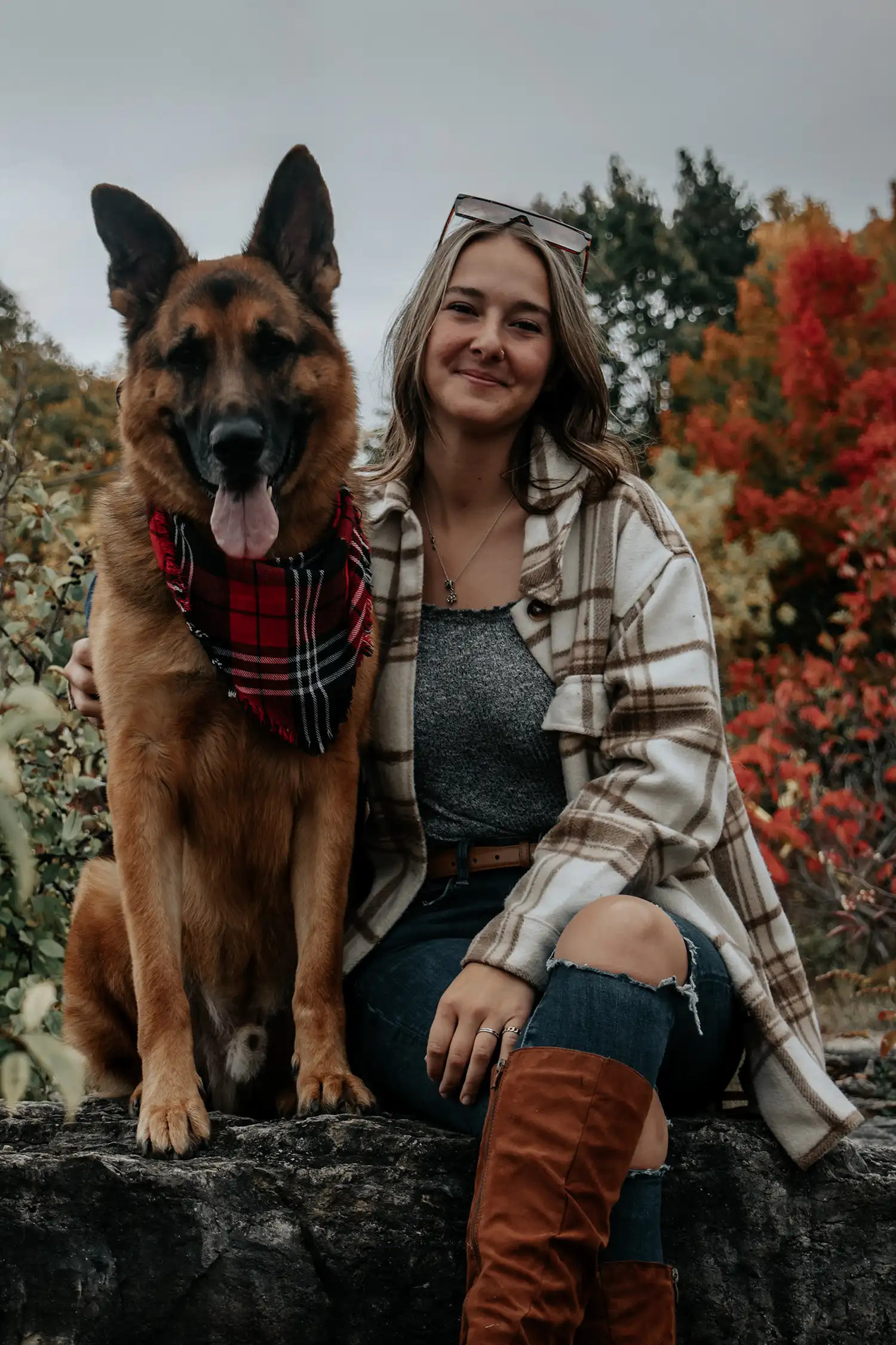 Canine Portrait 13