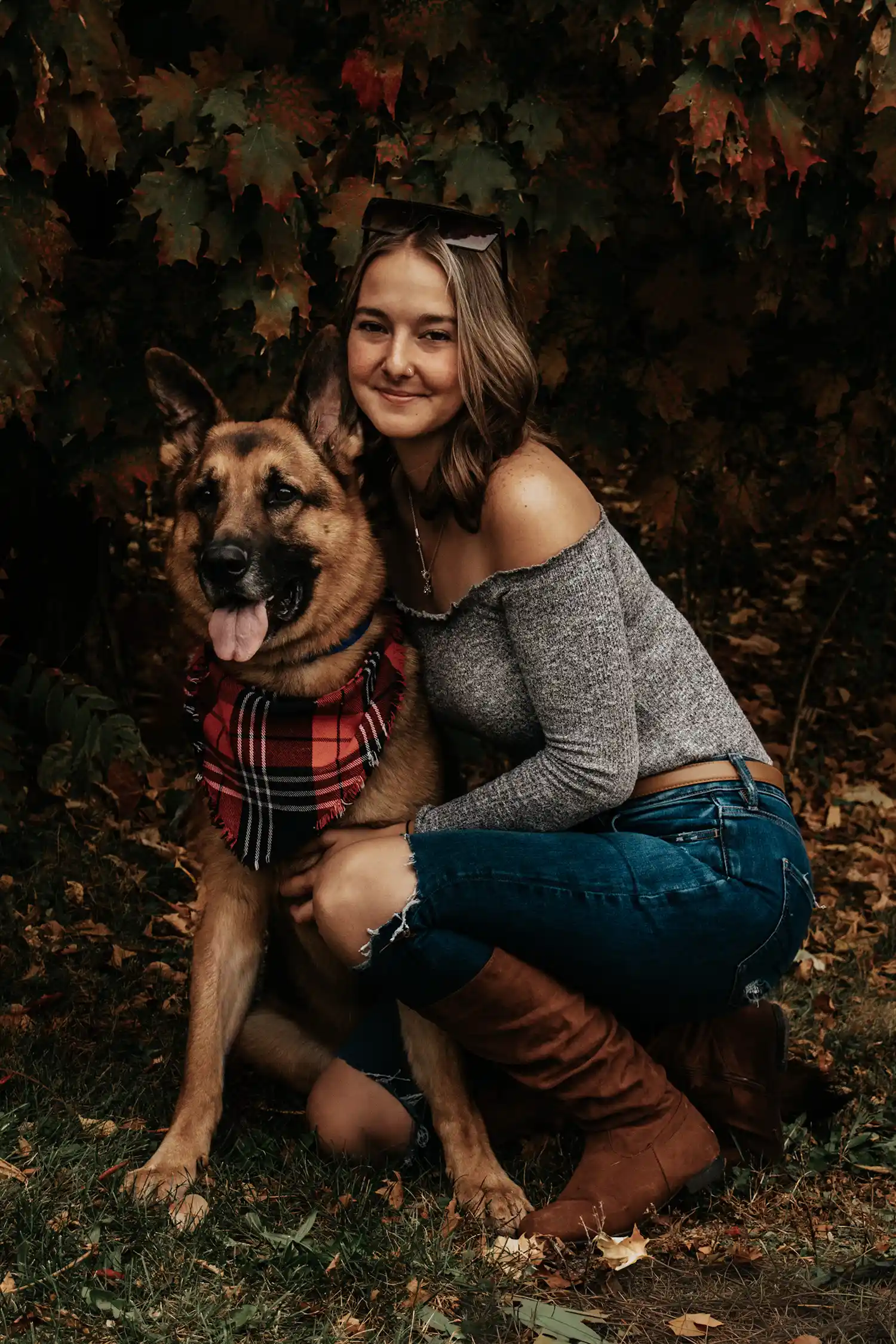 Canine Portrait 14