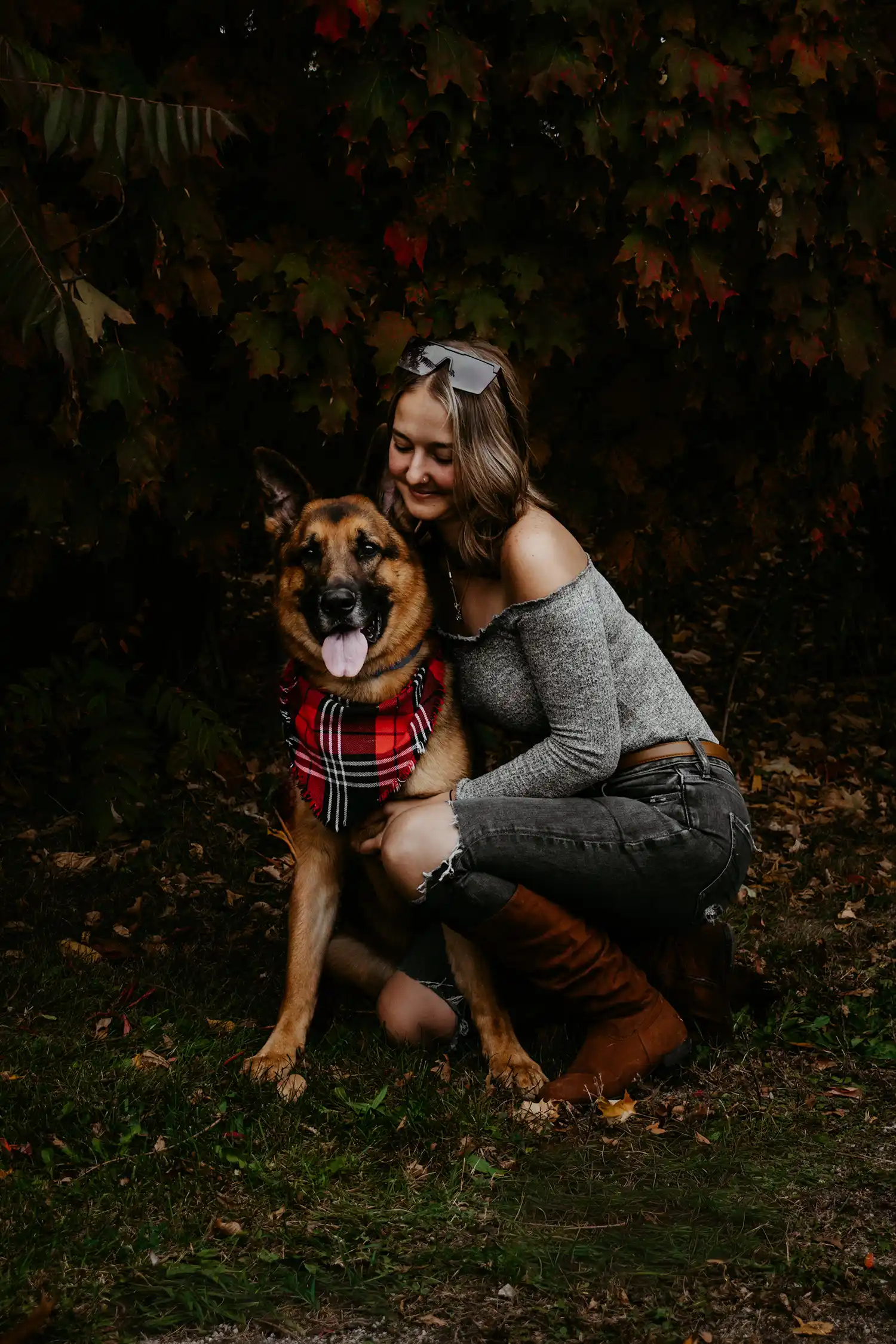 Canine Portrait 15