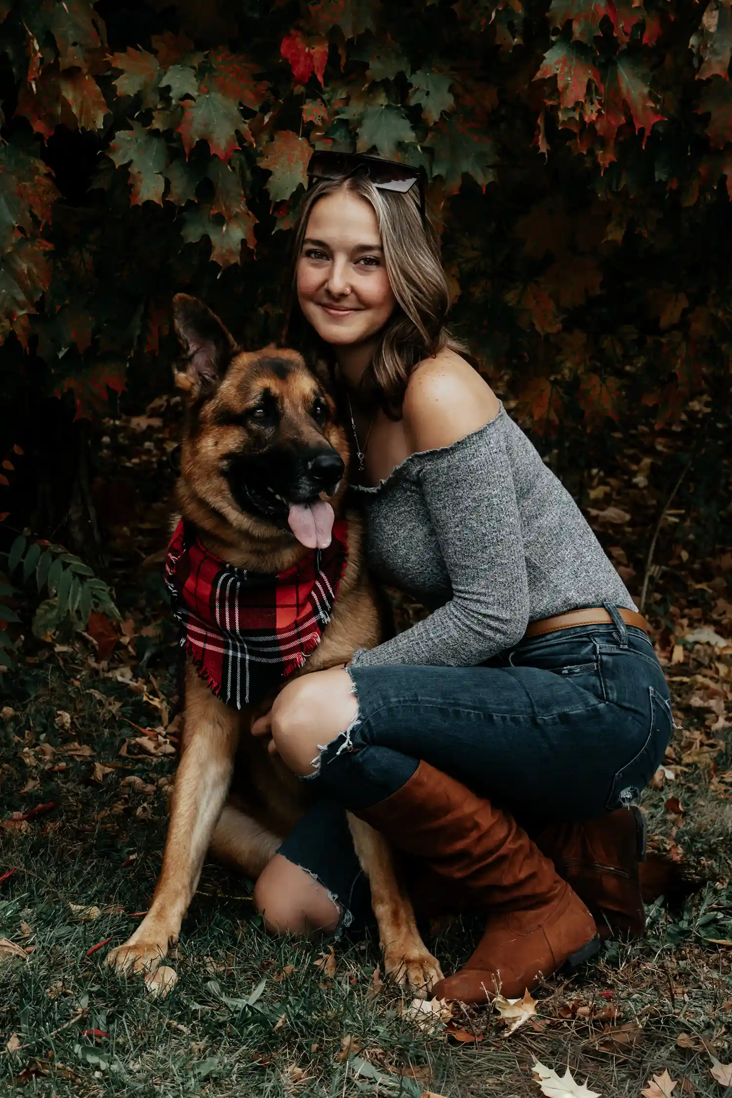 Canine Portrait 16