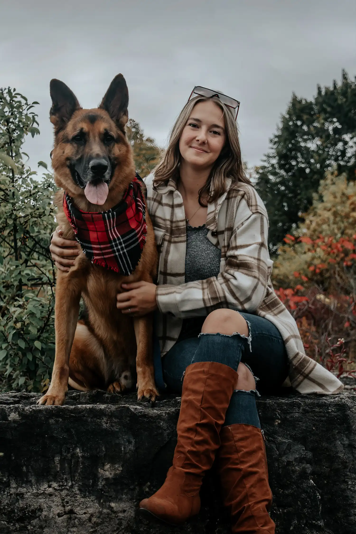 Canine Portrait 17