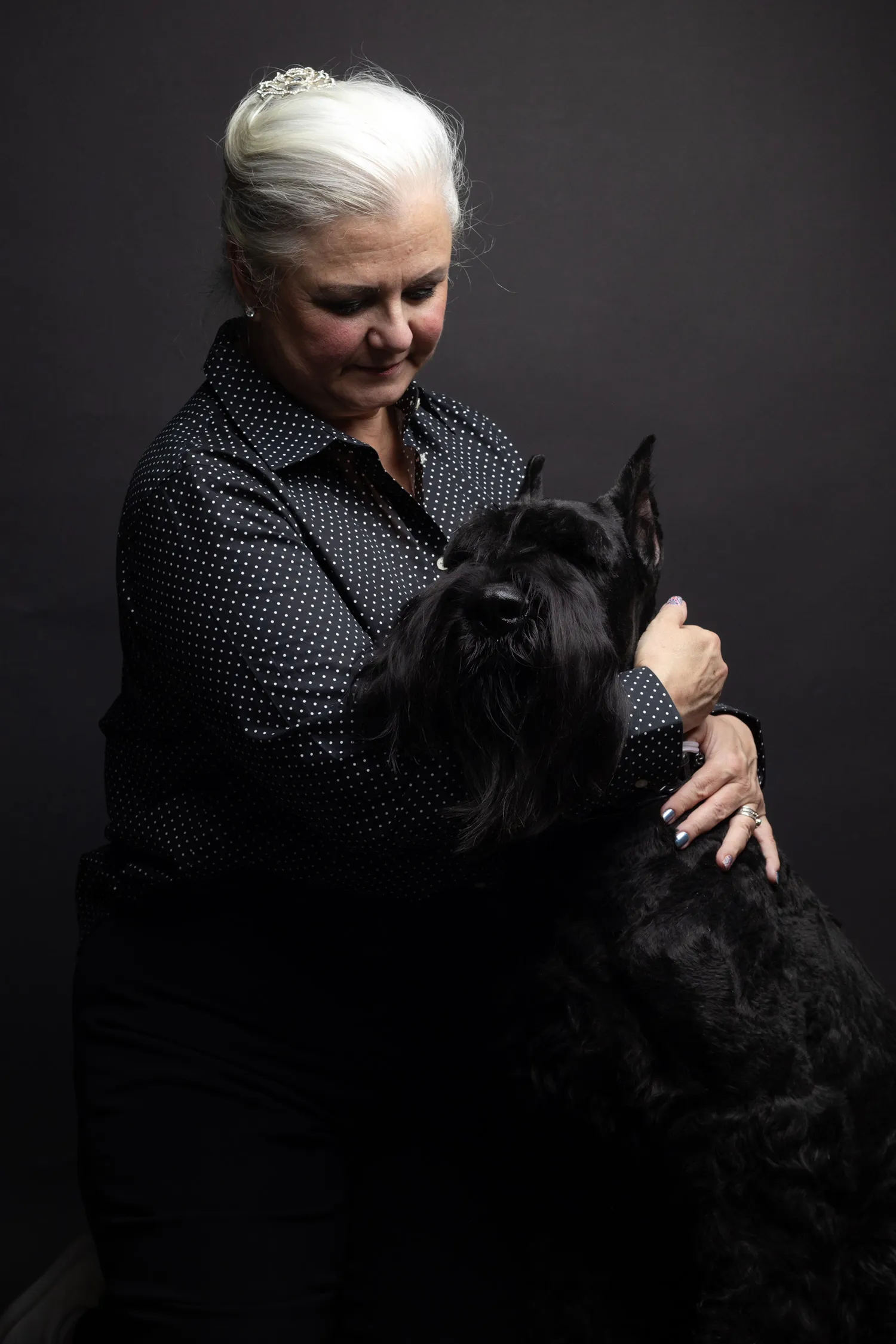 Canine Portrait 19