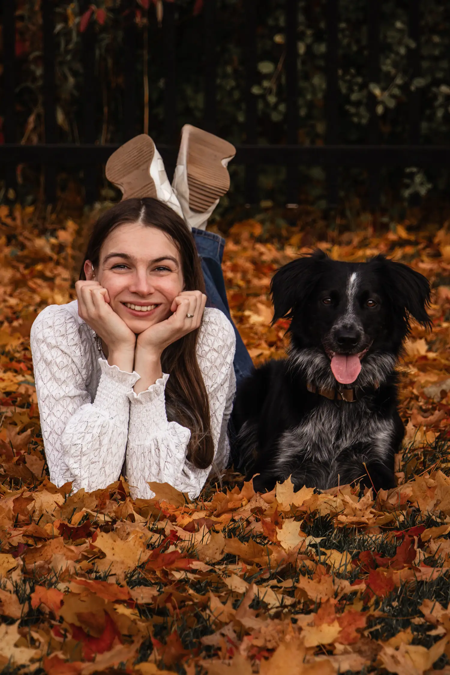 Canine Portrait 2
